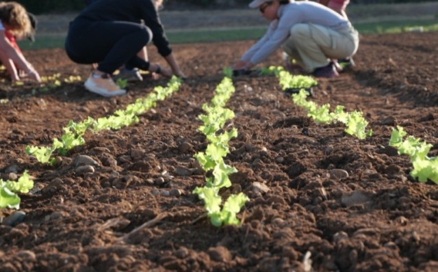 le-travail-en-agriculture