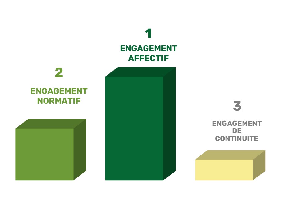 Il existe trois formes d'engagement organisationnel : l'engagement affectif, qui est le plus favorable pour le salarié et pour l'entreprise, l'engagement normatif et l'engagement de continuité, qui est la forme la moins favorable.