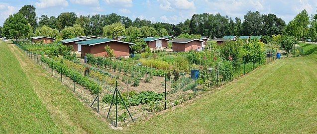 637px-Angoulme_16_Jardins_familiaux_Frgeneuil_pano_2014