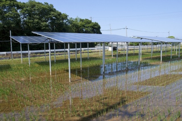 1920px-Solar_Sharing_Power_Plant_in_Kamisu_Ibaraki_04