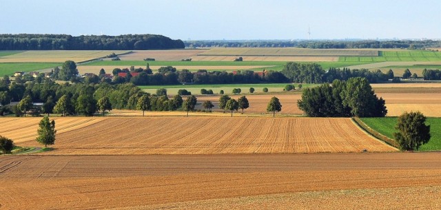 Hallerburg_im_Hallertal