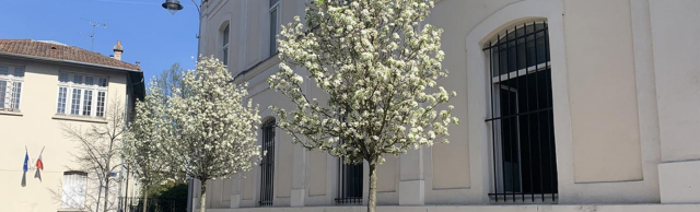 Screenshot_2021-04-15-1-000-arbres-pour-Maisons-Alfort-Et-si-la-Ville-plantait-des-arbres-chez-vous---Maisons-Alfort