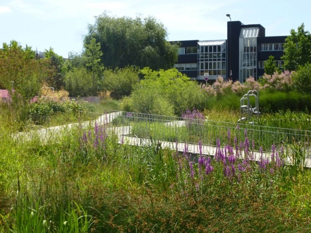 1-CR-Pays-de-la-Loire-Jardin-des-cinq-sens-Photo-9-HD