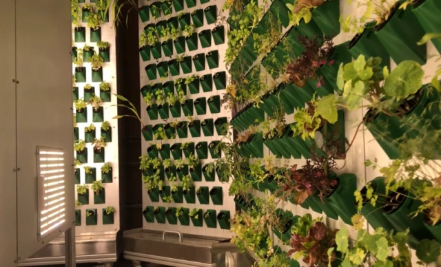Screenshot_2021-04-29-Vertical-Farming-Farm3-Farmcube