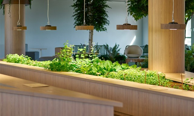 potager-interieur-sur-mesure