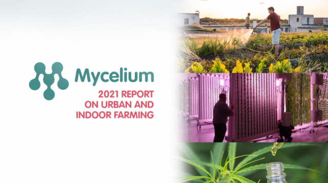 Screenshot_2021-05-25-MYCELIUM-REPORT-2021---MYCELIUM-REPORT-2021-1-pdf