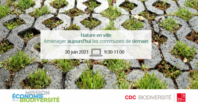 Photo-Webinaire-Nature-en-ville