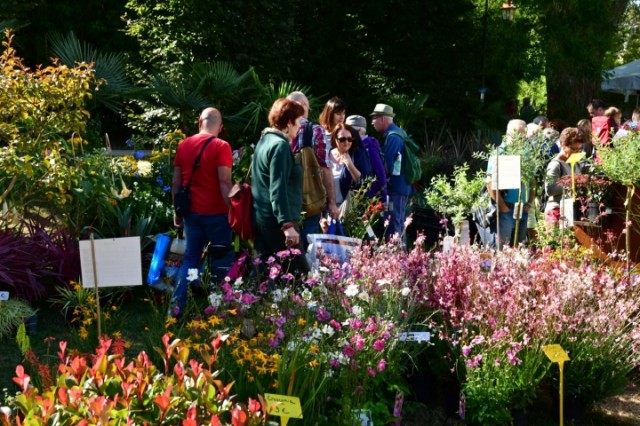 20180915-FLEURS-EN-SEINE.-PHOTO-PHILIPPE-HALLE-52-1-1536x1024