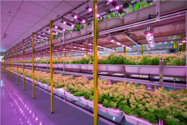 Screenshot-2022-01-03-at-15-39-35-Advantages-of-Vertical-Farming