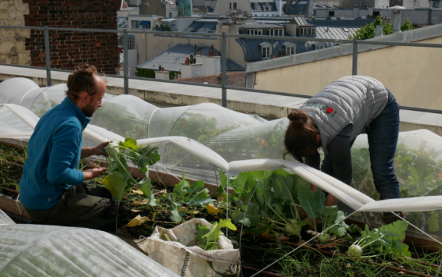 Screenshot-2022-02-14-at-13-48-22-Paris-Sme-2-soutien-aux-acteurs-de-la-filire-agricole-durable-de-proximit