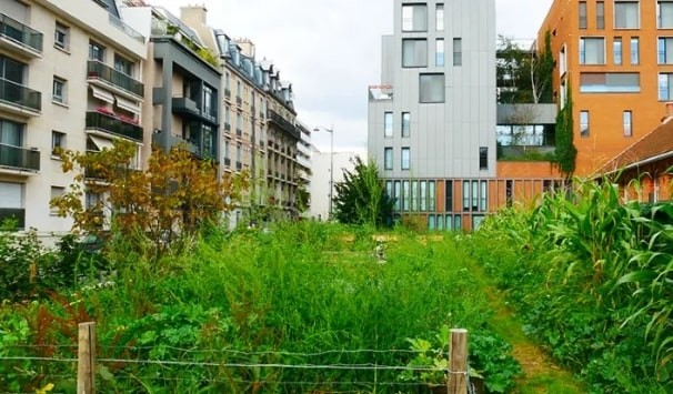 Screenshot-2022-05-12-at-14-11-24-Agriculture-urbaine-Paris-dvoile-les-nouveaux-sites-prts--accueillir-des-projets-Paris