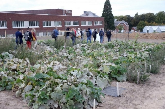 Screenshot-2022-06-30-at-12-18-26-Inauguration-officielle-de-WASABI-de-lamphithtre-au-terrain---Agriculture-urbaine