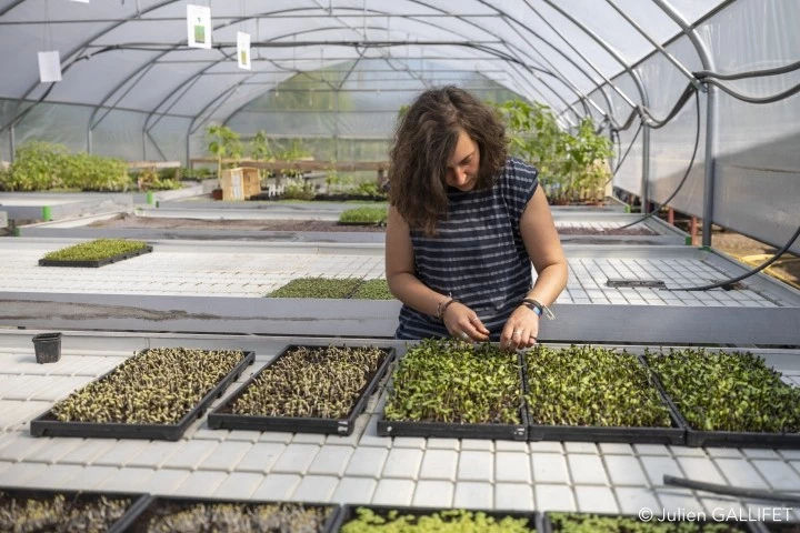 Le Potager mi-plaine devient Le Paysan Urbain Lyon - News/Actualités