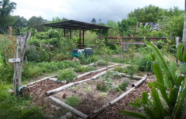 Screenshot-2023-01-10-at-13-38-19-La-permaculture-au-jardin-mois-par-mois-comment-la-mettre-en-pratique