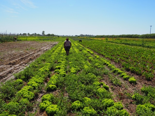 Rosario---Cinturon-Verde---Finca-de-Josefa---05.01-20