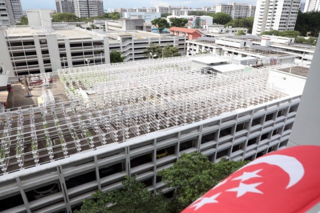 Singapour20200512_bk_carpark_rooftop_farming_2