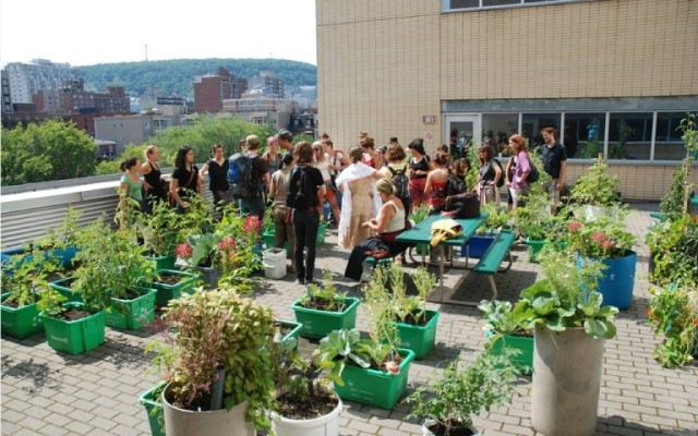 Screenshot-2023-03-20-at-15-04-11-7e-dition-de-lcole-dt-sur-lagriculture-urbaine--AU_LAB--Laboratoire-sur-lagriculture-urbaine