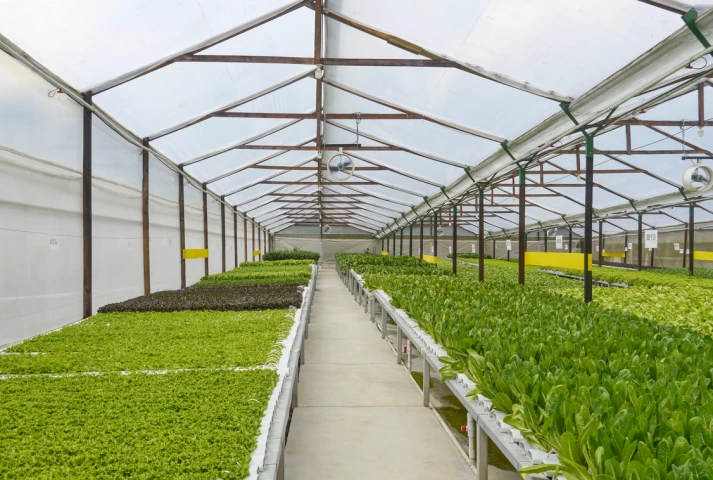 Arlita Argile Expansée Cultivers 20L - Billes De Drainage Pour Pots Et Hydroponie - Anti Pourriture Racines