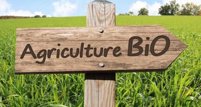 Screenshot-2023-05-22-at-16-37-17-agriculture-biologique--Recherche-Google