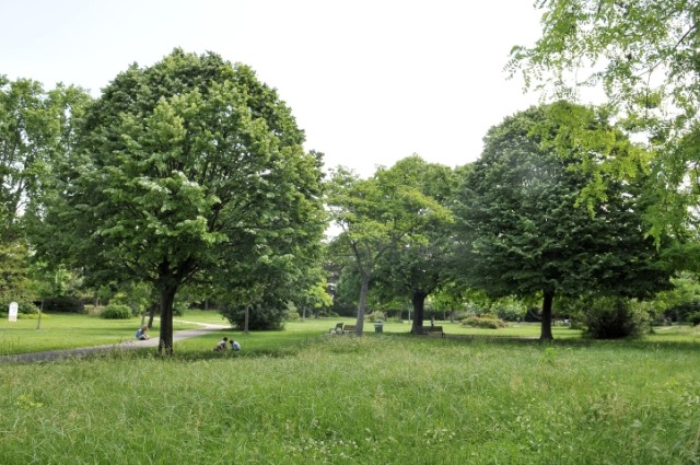 Eco-jardin-parc-Bortoli-164