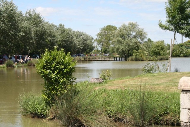 Végét’ eaux, pour une ville durable