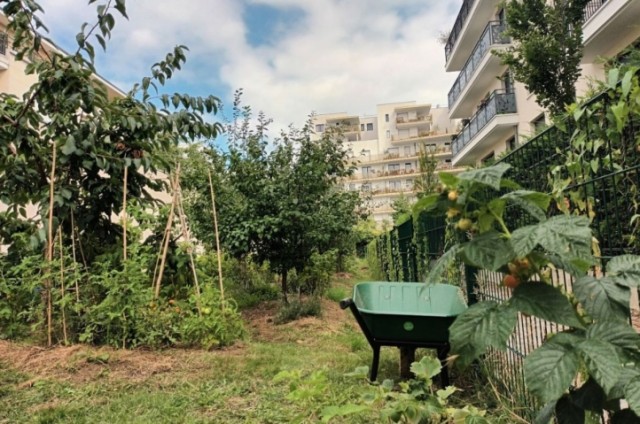 Les-Fruits-Rouges-de-Montrouge