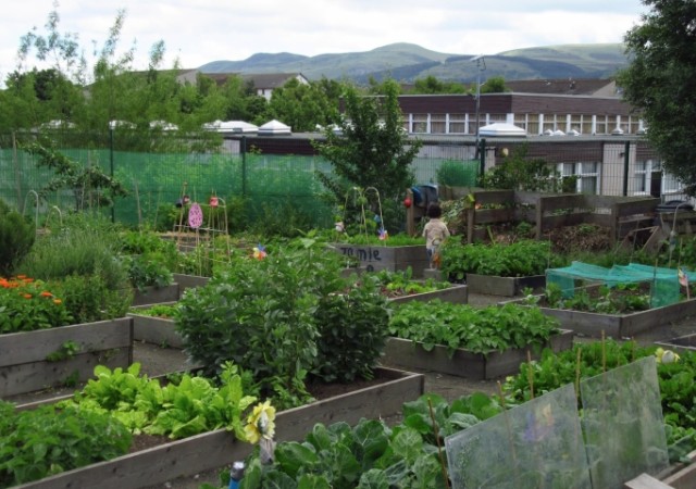 Agriculture-urbaine-en-Ecosse