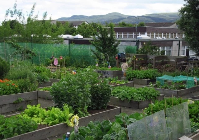 Agriculture-urbaine-en-Ecosse