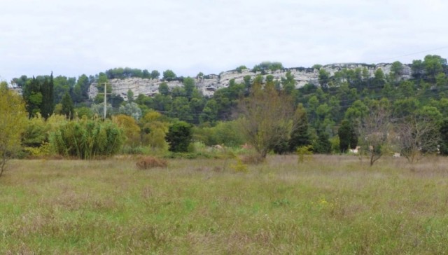 terrain-agricole-de-Barbire