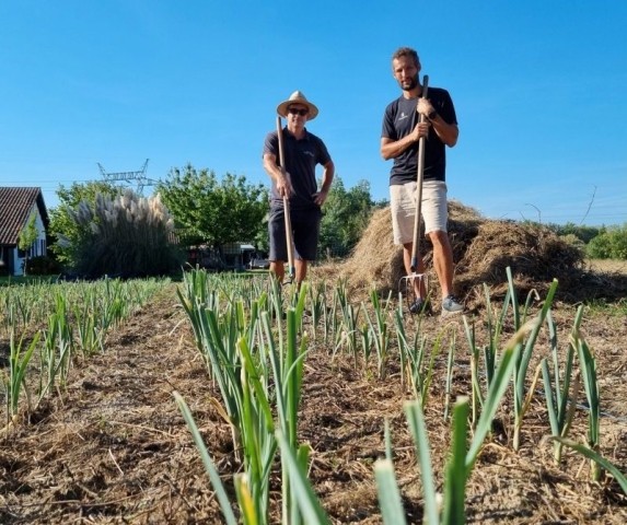 Les maraîchers sont à pied d'oeuvre sur Bordeaux métropole