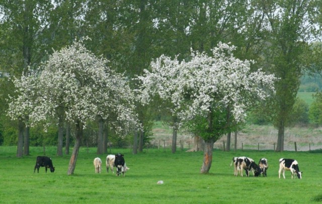 circuit-court-en-normandie-