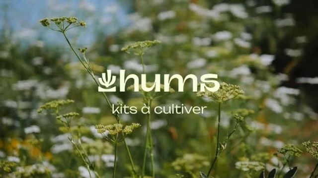 Hums-les-kits--cultiver