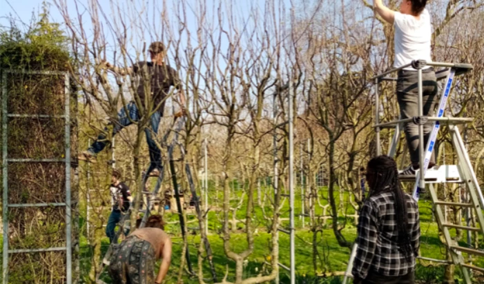 Une formation à la 
