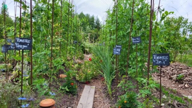 jardin-de-vincent-cayron-laureat-categorie-parcelle-privee-dans-un-jardin-collectif-c-v.-cayron-1024x577