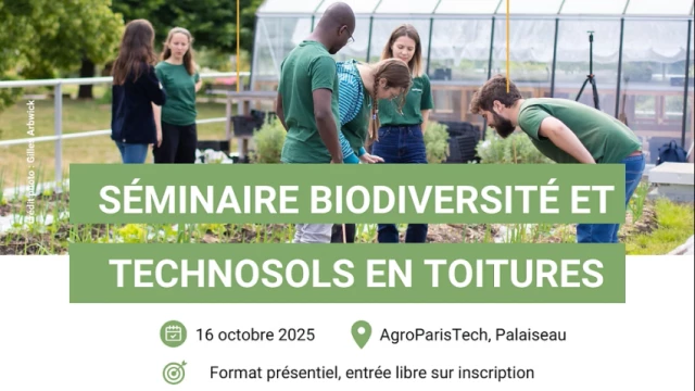 d88e76_063f758a49d4477d9db10871a46ad4cfmv2