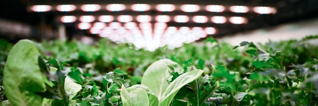 file-20251205-56-z43jy