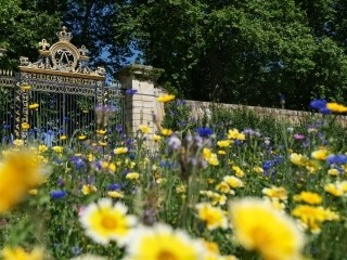 062025_-_le_potager_du_roi_41