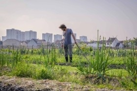 timothe-stagiaire-en-maraichage-de-zone-sensible-2018-c-sylvain-gouraud_0