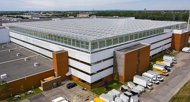 csm_World_s_biggest_rooftop_greenhouse_opens_in_Montreal__7dd1be37c2-1