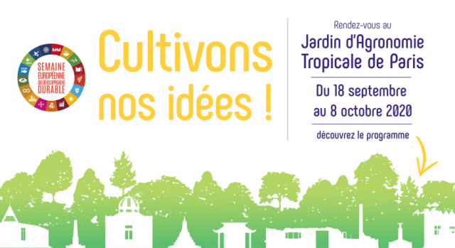 seddbanniere-site-cultivons-nos-idees