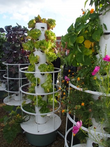 Tower-garden1