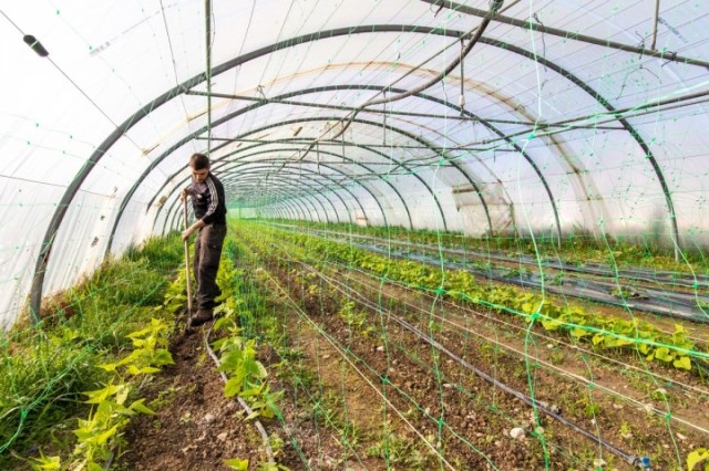 Rencontre autour de l'accessibilité à une alimentation durable