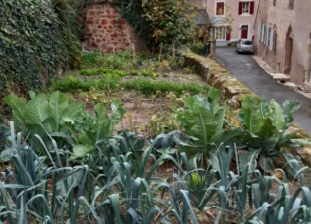 Le Plan National de Relance consacre 30 millions € aux jardins partagés