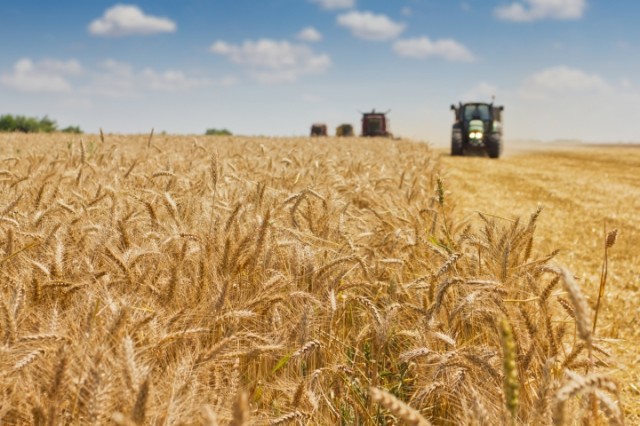 Avenir de la politique agricole commune : France Urbaine publie sa contribution