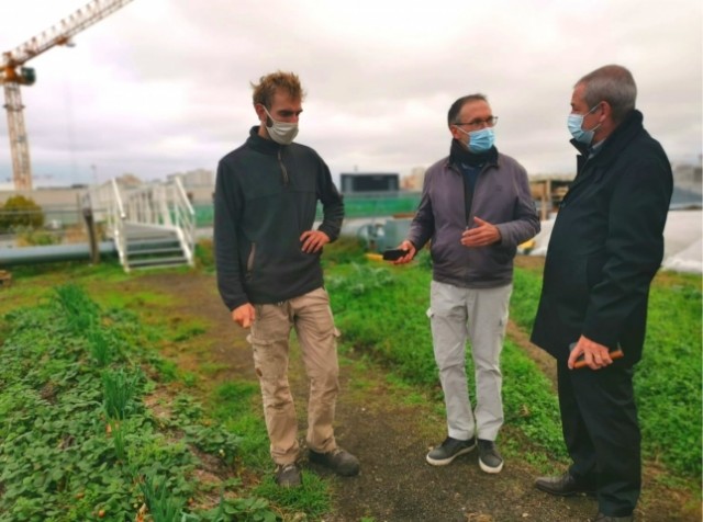 Jacques Rouchaussé, président de Légumes de France :  «L’agriculture urbaine peut être un complément pour notre société moderne»