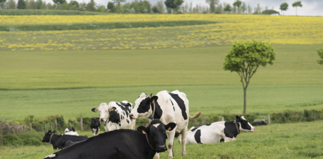 Retour sur les #AgriTalks2, débat ouvert par Julien Denormandie