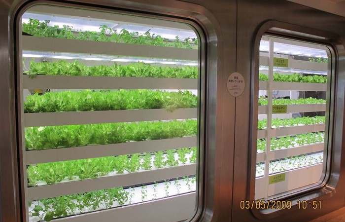 ferme-verticale-tokyo-2