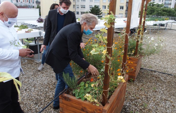 Plantation de luzerne par Éric PLIEZ