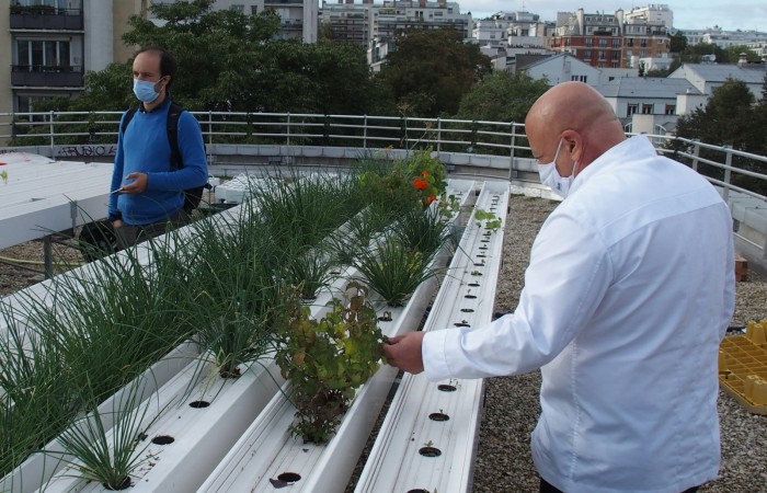 Thierry Marx et ses plantes aromatiques