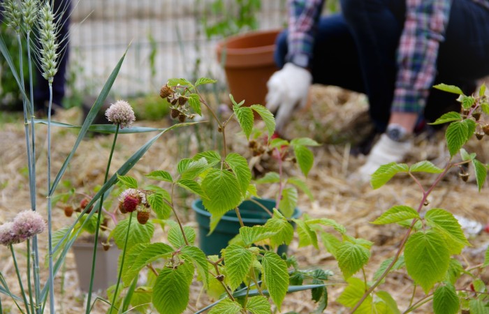 Gaëlle Blondel - Urbanescence